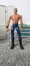 Dennis Rodman Pro-Wrestling
