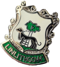 Linlithgow Town Small Pin
