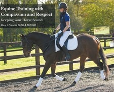 Equine Training with