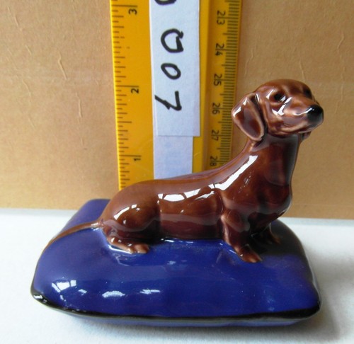 Wade tour dachshund - tour, dog
