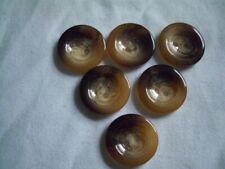 BEIGE / BROWN TORTOISESHELL