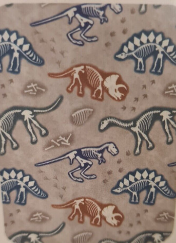 Brand new kids dinosaur - brand,