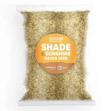 Shady Area Grass Seed | SHADED