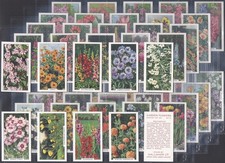GALLAHER-FULL SET- GARDEN FLOWERS 1938 (48 CARDS) EXCELLENT