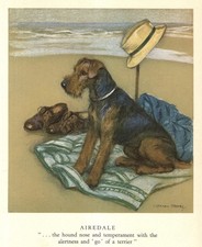1947 Vintage Airedale Terrier