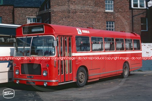 Bus photo ribble - photo,