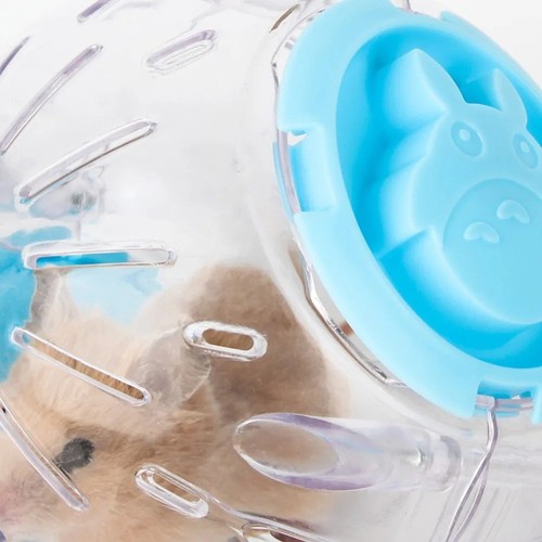 Small pet hamster exercise - pet,