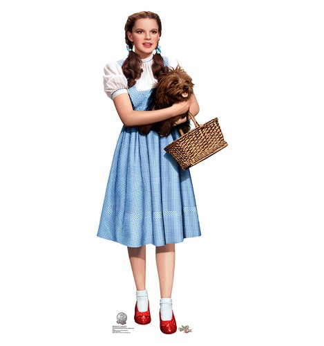 The wizard dorothy - the,