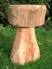 Mushroom stool, toadstool