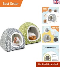 Machine Washable 2-Pack Beds