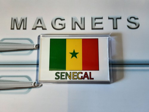 Senegal flag fridge - senegal,