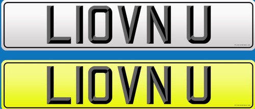 Loving you private plate - loving,