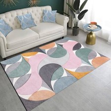 Modern Large Area Rugs Living