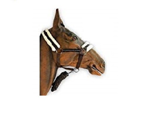 Brown horse diamonte head - brown,