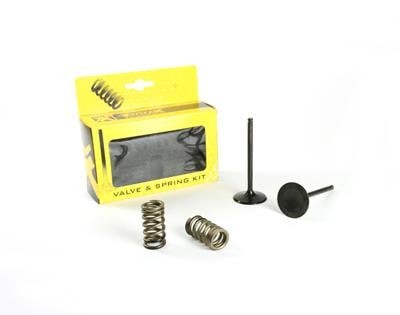 Kit valve spring - valve+spring, ktm350