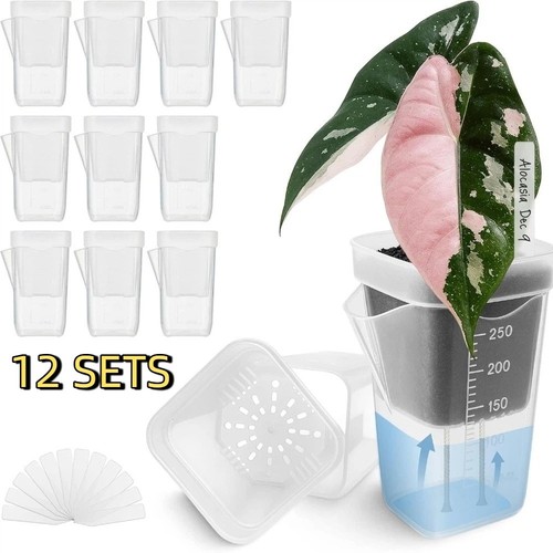 Set clear plastic - clear,