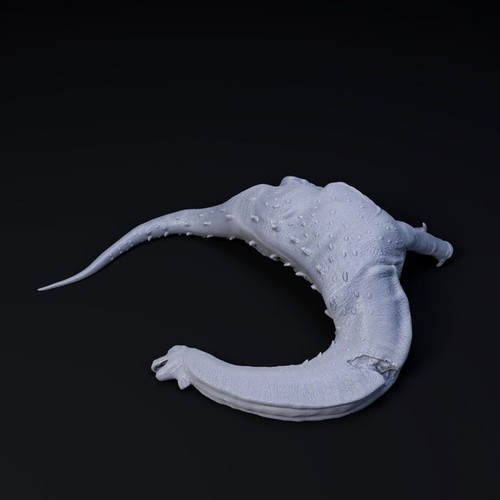 Magyarosaurus dead dinosaur - magyarosaurus,