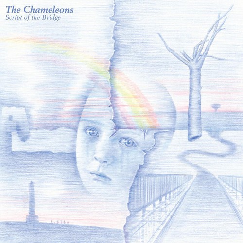 The chameleons script - chameleons,