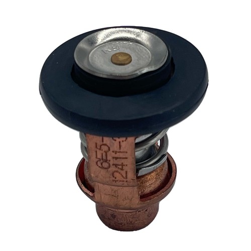 Thermostat yamaha outboard - thermostat, 25