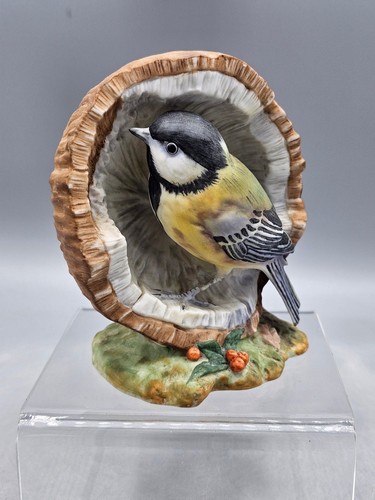 Great tit coconut border - on,