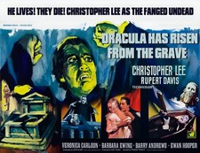 DRACULA HAS RISEN FROM THE GRAVE 1968 quad poster print 30x40" Hammer Horror