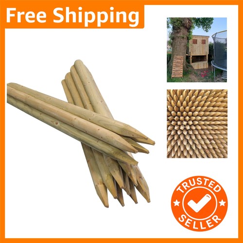 Pack natural 2m wooden - of, 10