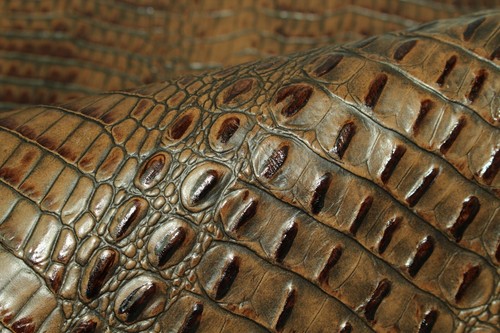 Beautiful brown bailey croc - brown,