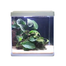Swell Small Aquarium 38cm 37