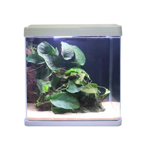 Swell small aquarium 38cm - small,