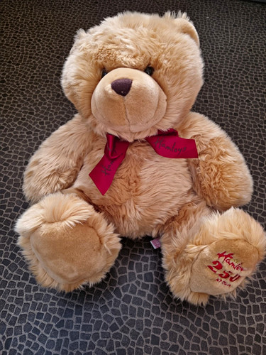 Hamleys 250th birthday edition - hamleys,