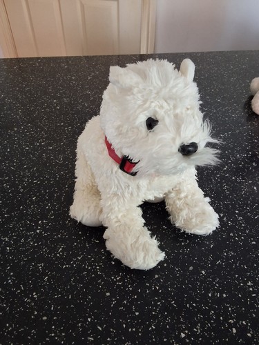 2005 westie west - ty,