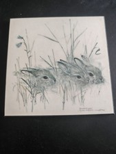 Vintage Denmark European Hare Baby Bunnies Framed Board Print Signed Mads Stage