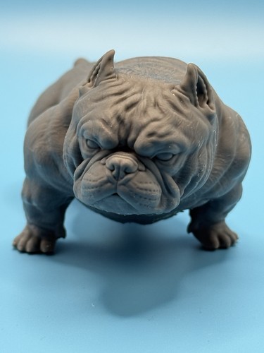 American pocket bully dog - american, 3d