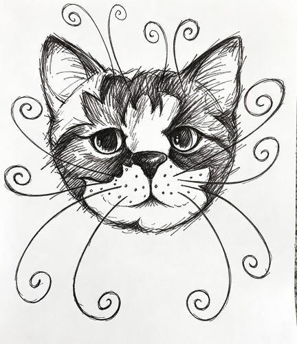 Cartoon drawing cat print - cartoon,