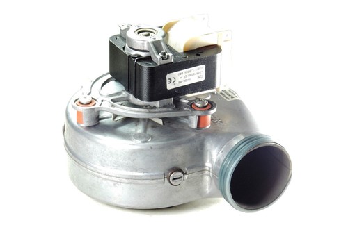 Ariston microgenus 32 - ariston, 28