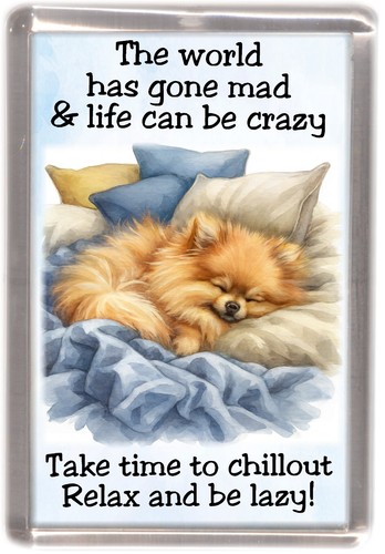 Pomeranian dog fridge - dog,