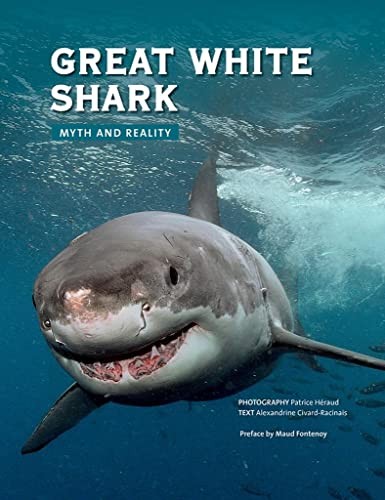 Great white shark - myth, and