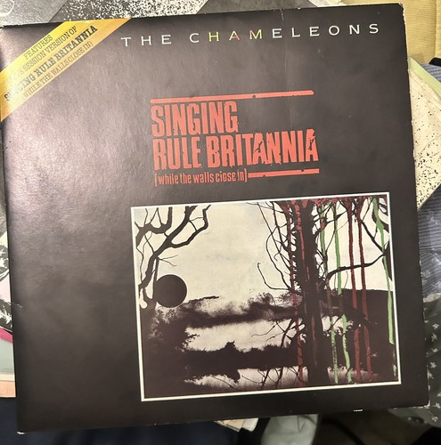 The chameleons singing - the,
