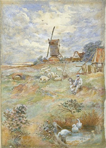 Shepherd rural scene - shepherd, in