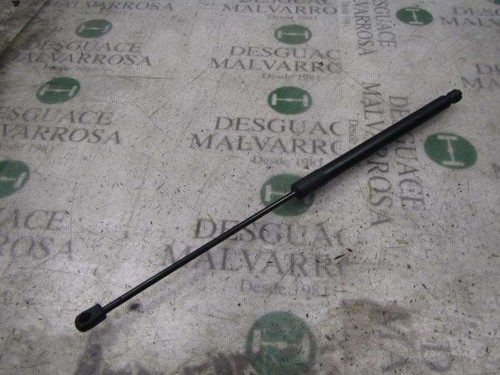1747492 tailgate gas strut - tailgate, /