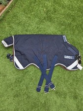 Rambo Minature Horse/ Shetland