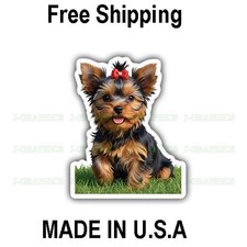 Yorkshire Terrier Yorkie Dog