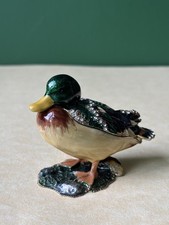 Mallard Drake duck Treasured