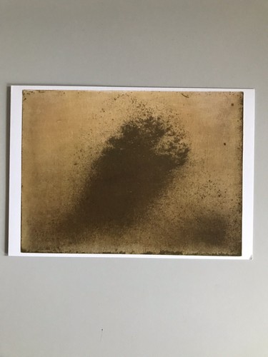 Ruscha insects - ed, ruscha,