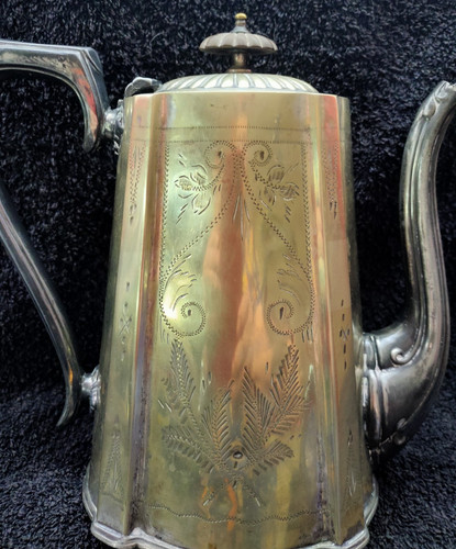 Edwardian sheffield bpns - edwardian,