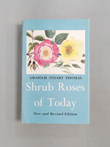 Shrub roses today thomas - shrub,
