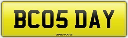 Dayes days dayley dayle - dayes,