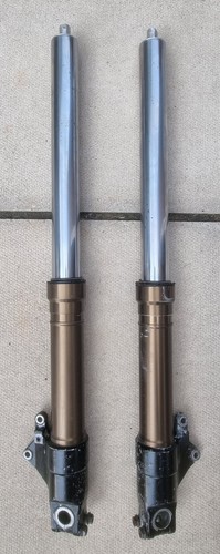 Cbr900 fireblade fork - fireblade,