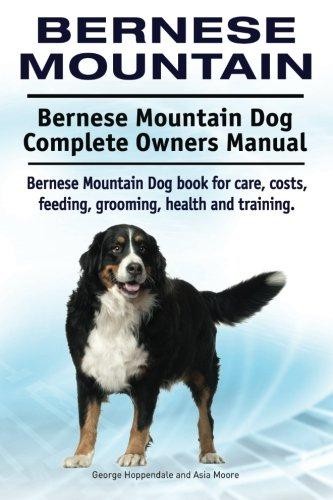 Bernese mountain - mountain.,