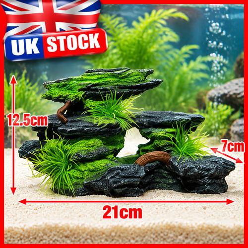 Aquarium fish tank - tank, decor